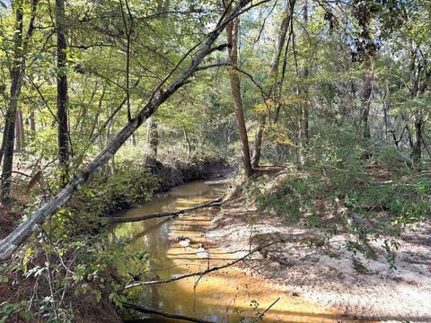 2080 County Road 1100 Woodville TX 75979