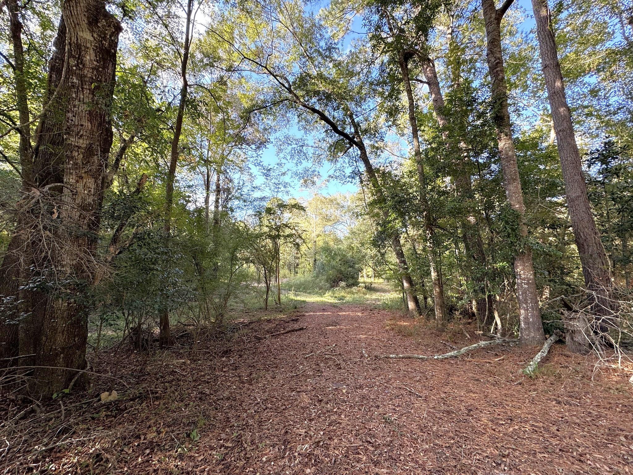 2080 County Road 1100