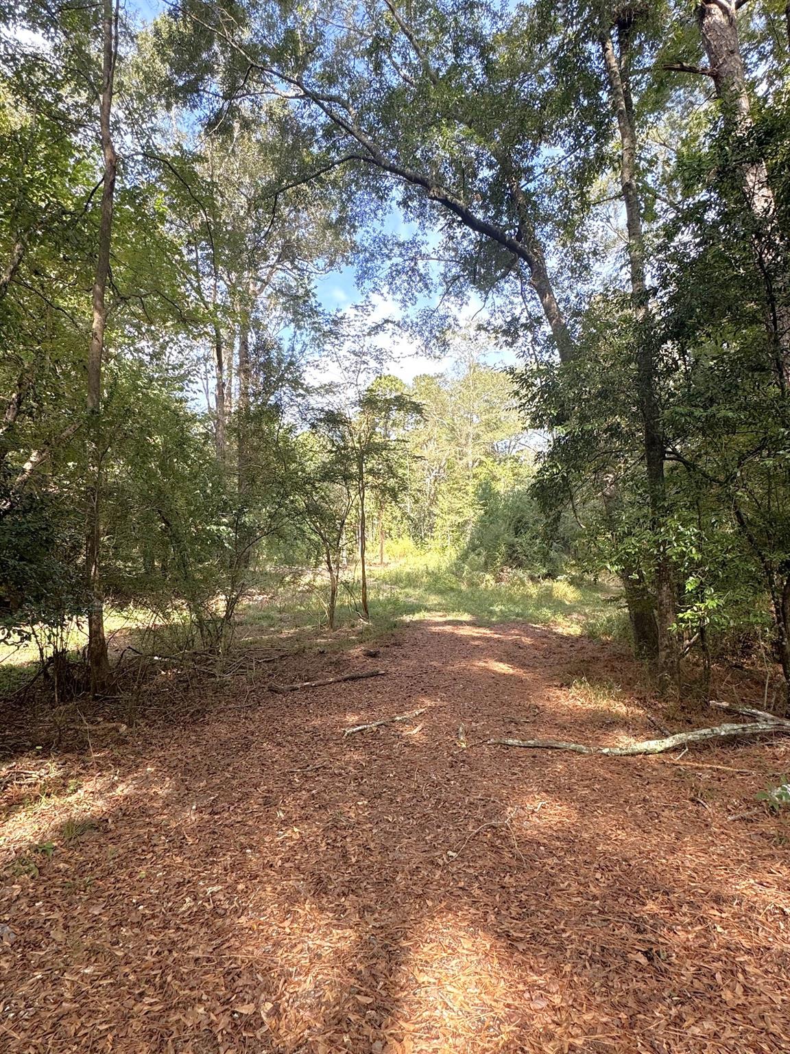 2080 County Road 1100