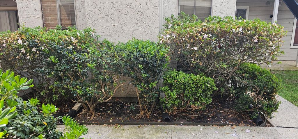 Photo of 17401 Red Oak Drive #85, Houston, TX 77090 (MLS # 39646294)