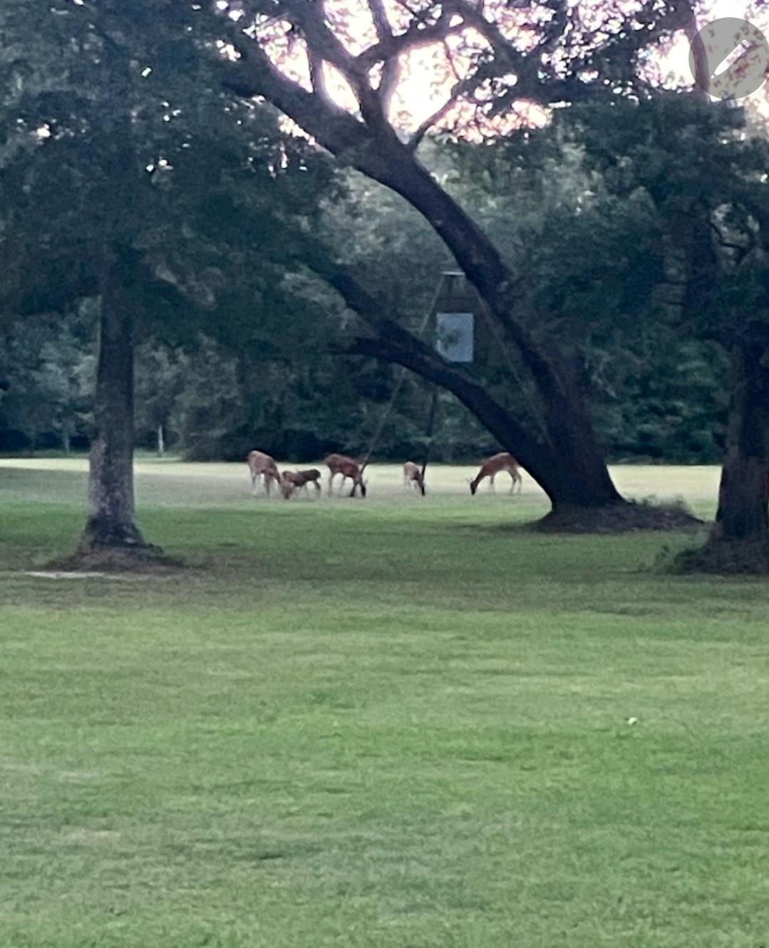 406 Wilson Creek Road