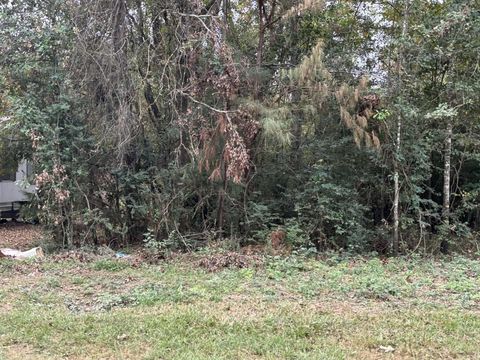 Photo of 929 Mudd Street, Coldspring, TX 77331 (MLS # 36513943)