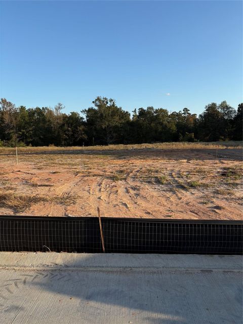 Photo of 614 Rockbridge Drive, Huntsville, TX 77340 (MLS # 45028479)