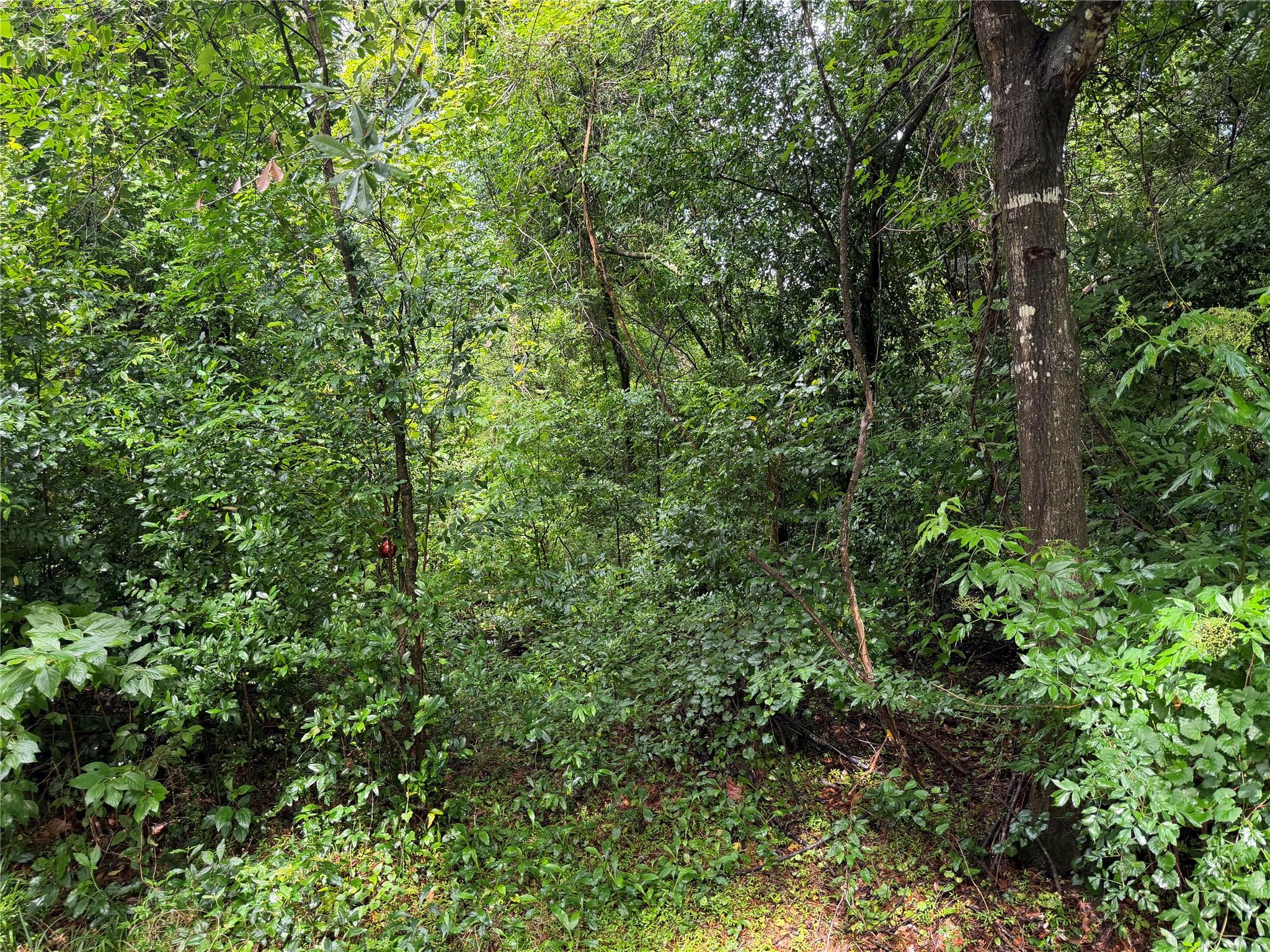 Lot 20 Idlewild Road
