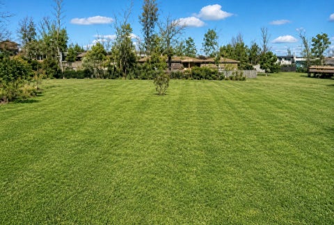 Vacant Land For Sale - 219 Red Bud Lane<br/> Polk County, Onalaska, TX 77360
