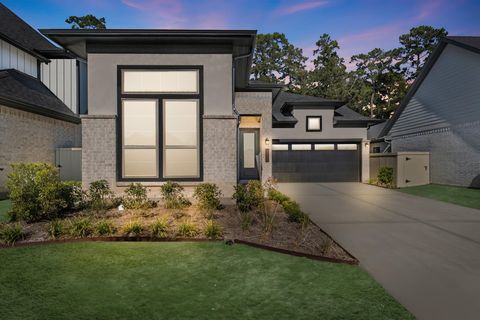 427 Audubons Shearwater Way Court Magnolia TX 77354