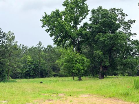 Photo of 117 Private Road 7512, Woodville, TX 75979 (MLS # 42141581)