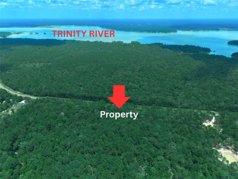 Vacant Land For Sale - 8327 Fm 980 N<br/> Huntsville, TX 77320