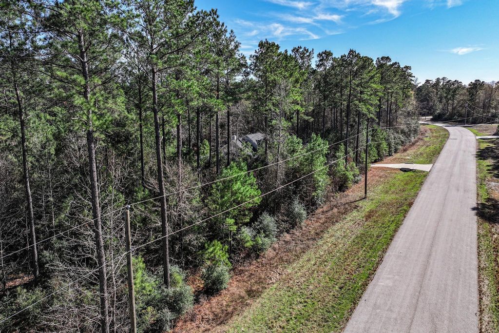 Photo of 76 Wagon Pass, Huntsville, TX 77340 (MLS # 28299566)