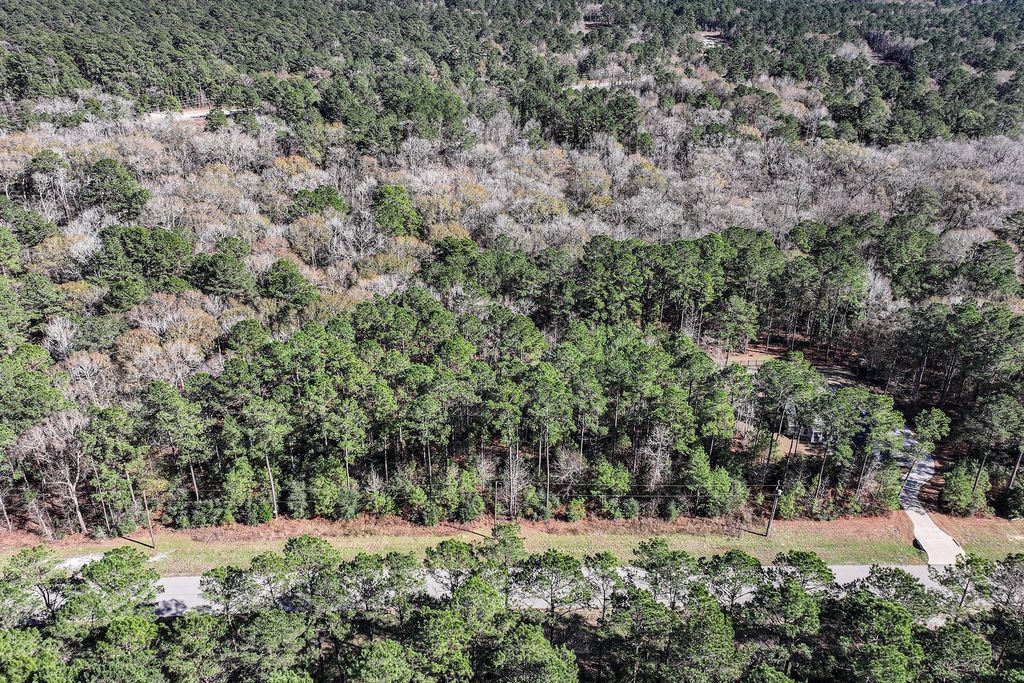 Photo of 76 Wagon Pass, Huntsville, TX 77340 (MLS # 28299566)
