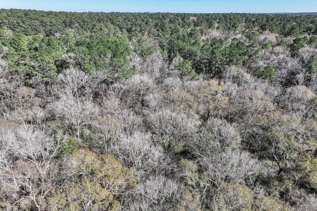 Photo of 76 Wagon Pass, Huntsville, TX 77340 (MLS # 28299566)