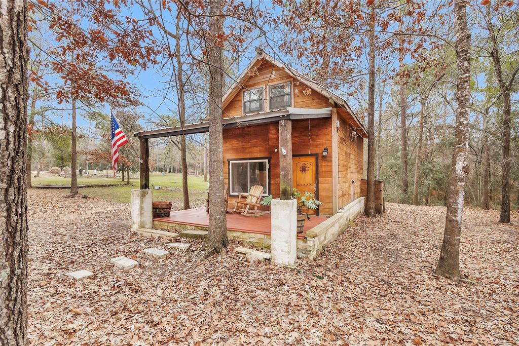 Photo of 7261 Forest Hills Drive, Montgomery, TX 77316 (MLS # 65749174)