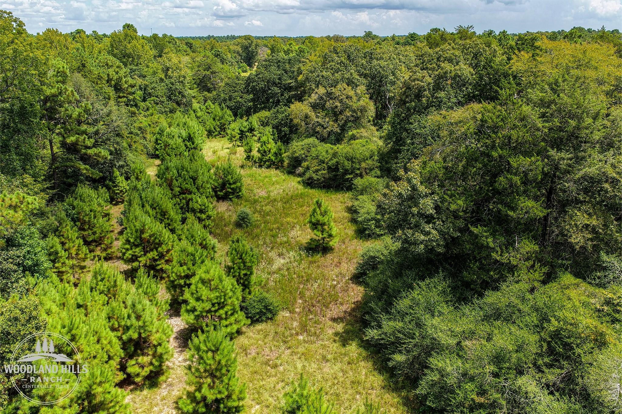 10 Acres Lot 81 Woodland Hills Ranch