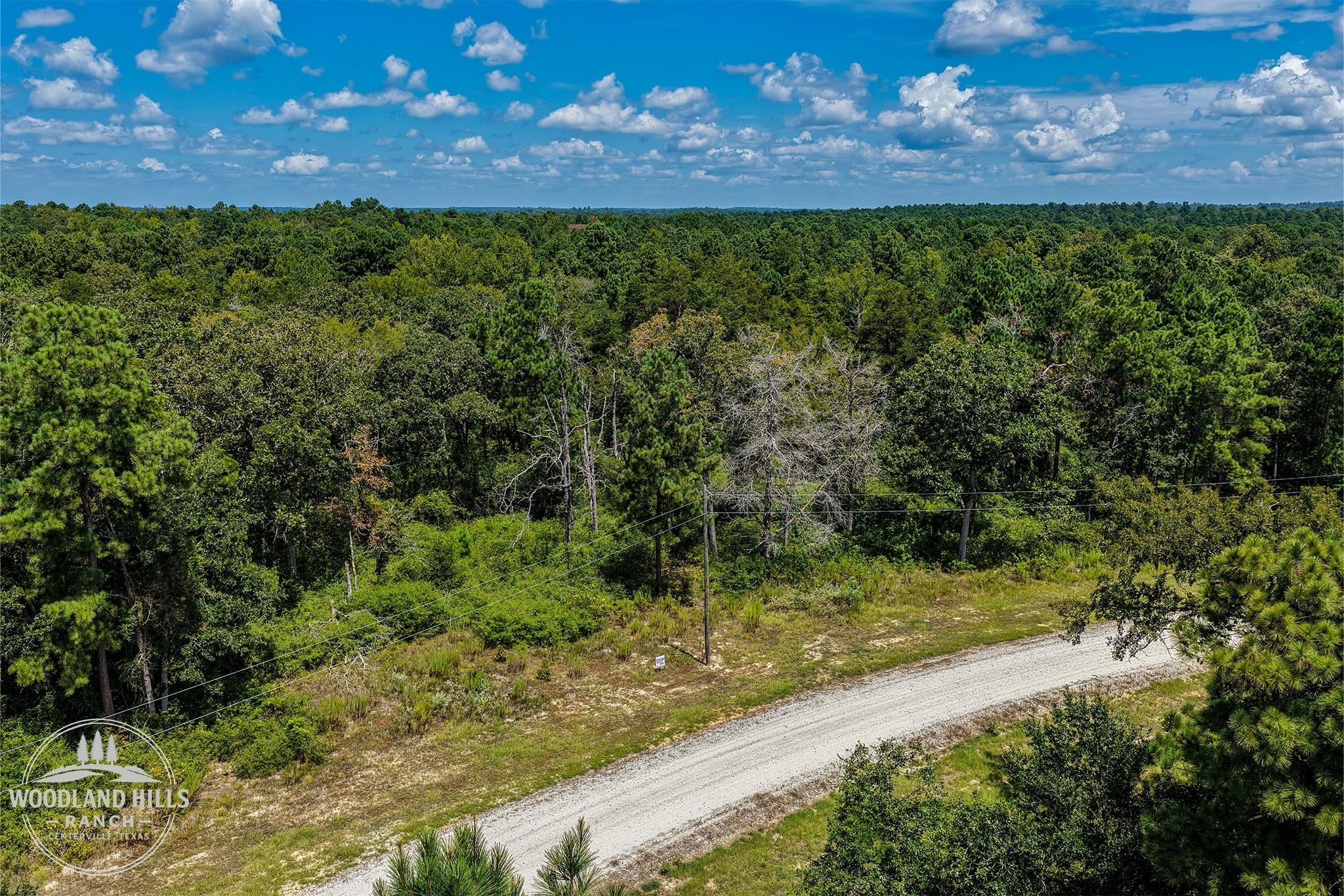 10 Acres Lot 81 Woodland Hills Ranch