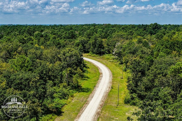 10 ACRES LOT 81 WOODLAND HILLS RANCH, CENTERVILLE, TX 75833 - Image 5a49fbd0296fd64cd384e1a38dccbb64/807125035