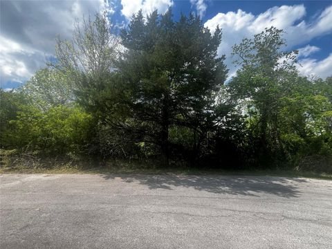 Photo of 51 Timber Cove Lane, Coldspring, TX 77331 (MLS # 49689416)
