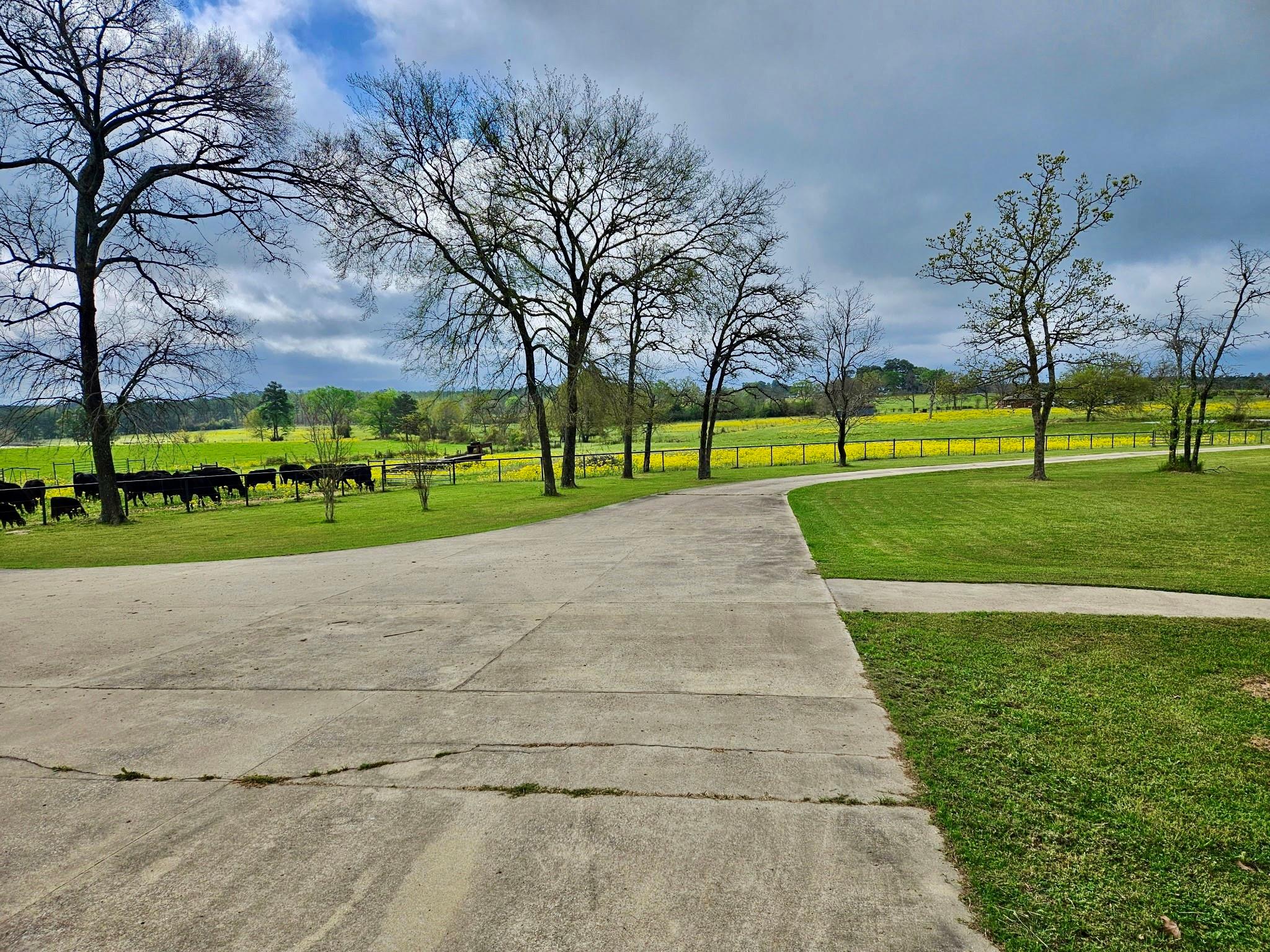 377 Fm 3179 Road