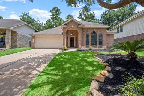 Photo of 6 Bushell Mill Place, The Woodlands, TX 77382 (MLS # 63053001)