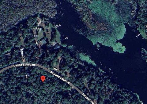 Vacant Land For Sale - 1045 Galahad Lp Road<br/> Tyler County, Ivanhoe, TX 75979