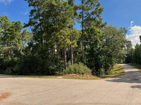 Photo of 116 Water Oak, Livingston, TX 77351 (MLS # 39312327)