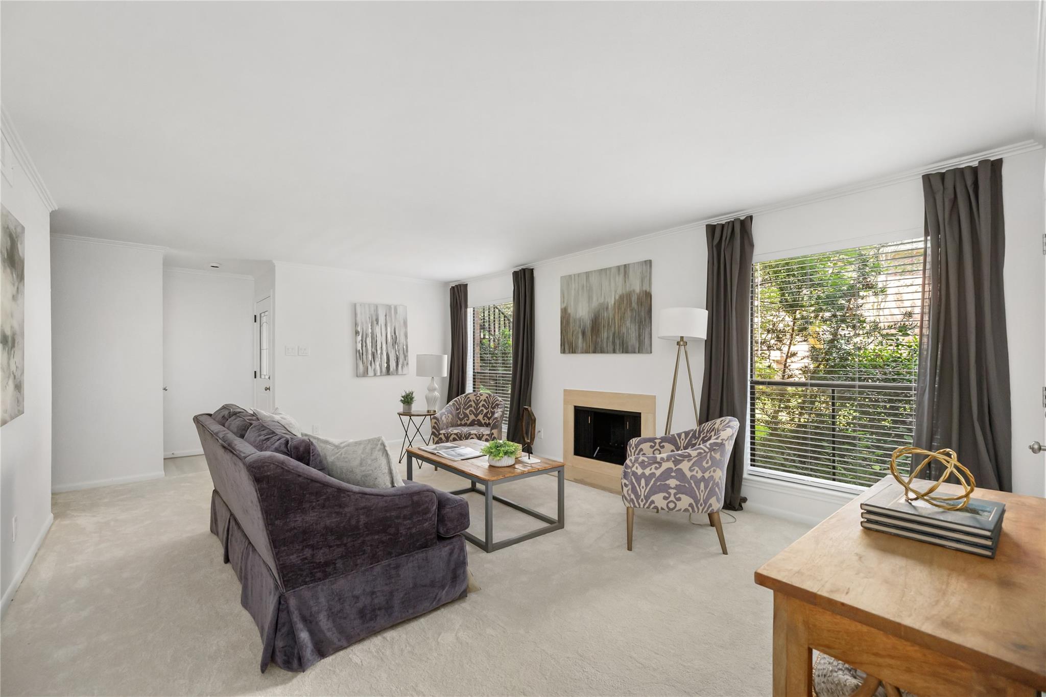 1601 S Shepherd Drive 113