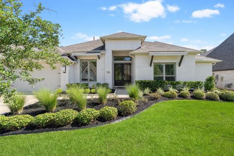 116 Hushed Nightfall Court Willis TX 77318
