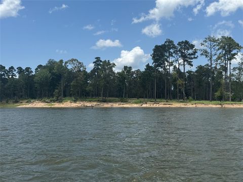 Vacant Land For Sale - 162 Foster Cove<br/> Sabine County, Pineland, TX 75968