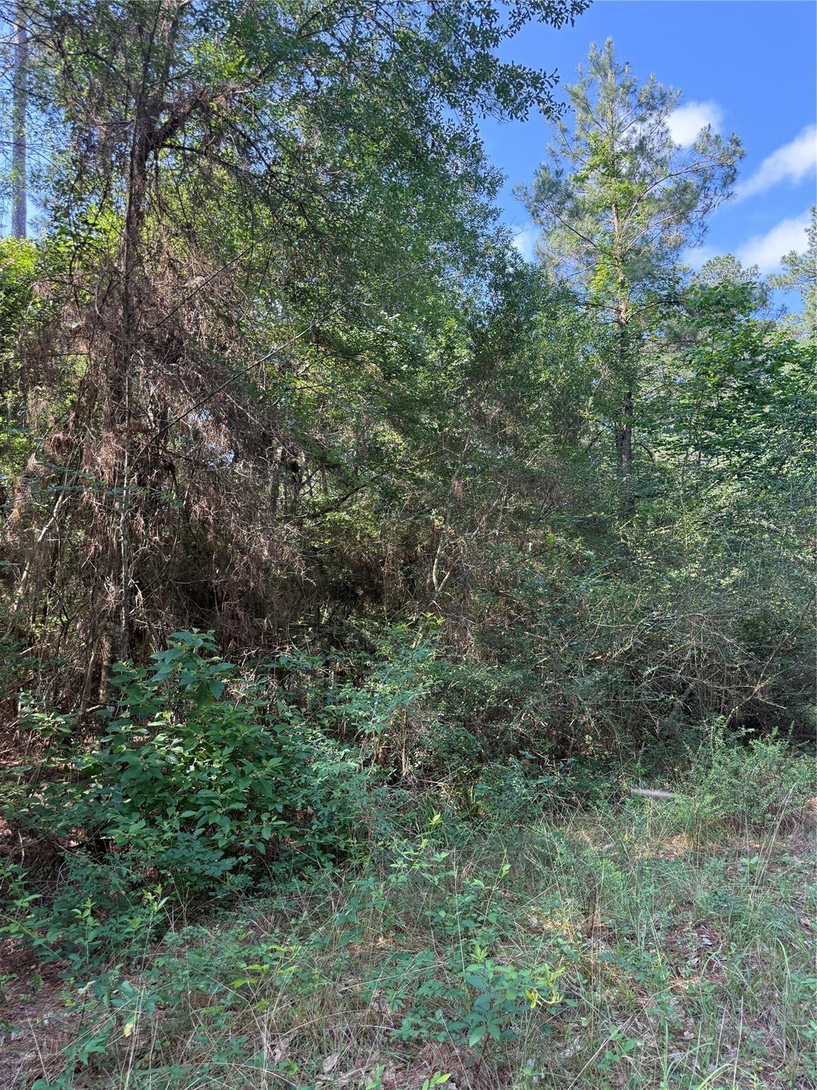 TBD Timberwood Lane