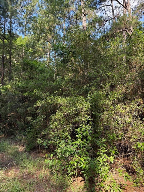Photo of TBD Timberwood Lane, Navasota, TX 77868 (MLS # 62883052)