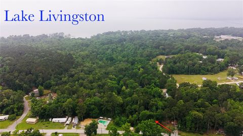 Photo of TBD Impala Drive, Onalaska, TX 77360 (MLS # 76391862)