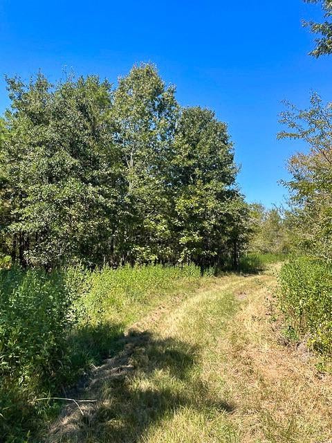 Vacant Land For Sale - 8881 Fm 356<br/> Trinity, TX 75862