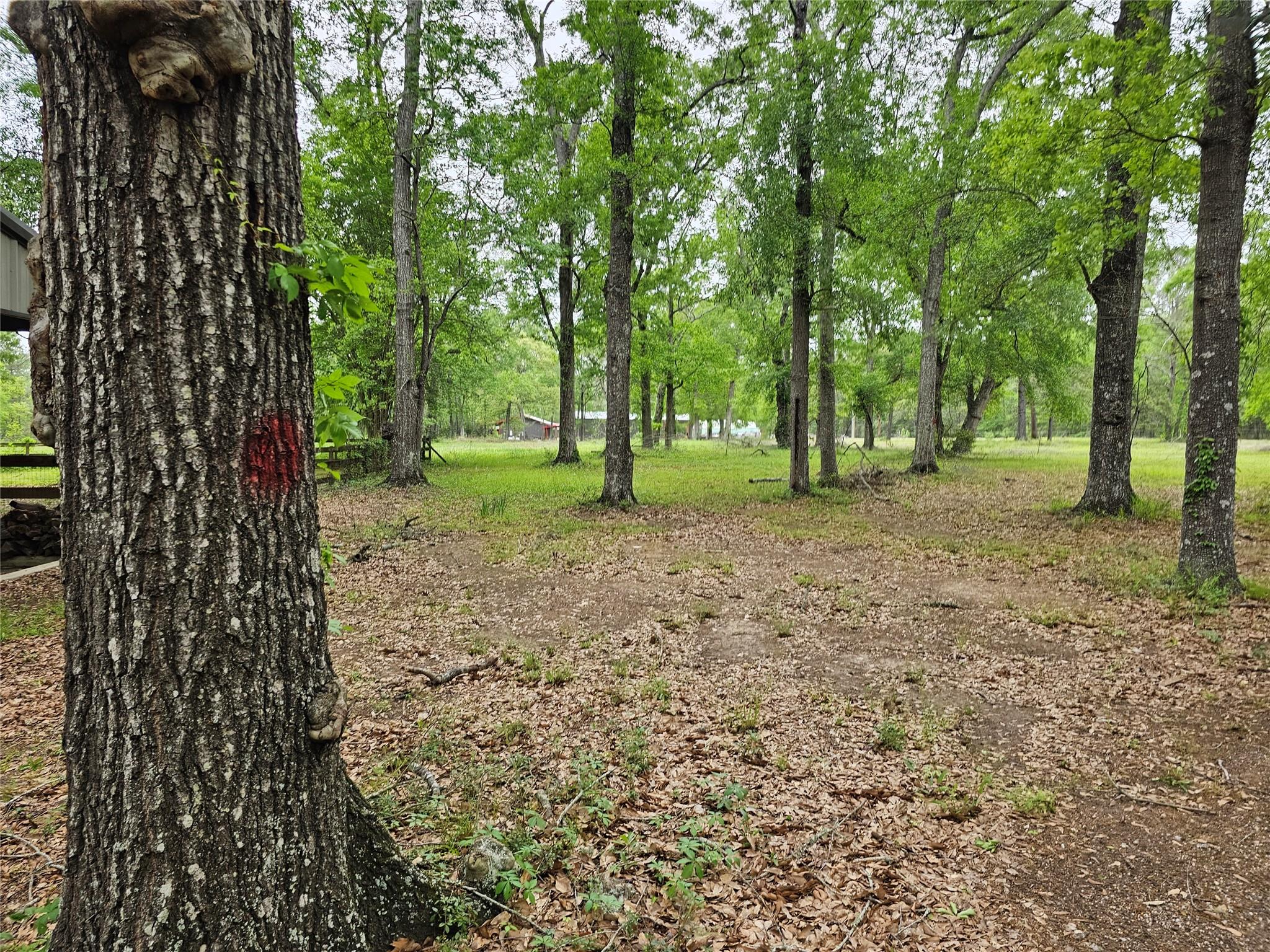 15784 Tree Monkey Rd