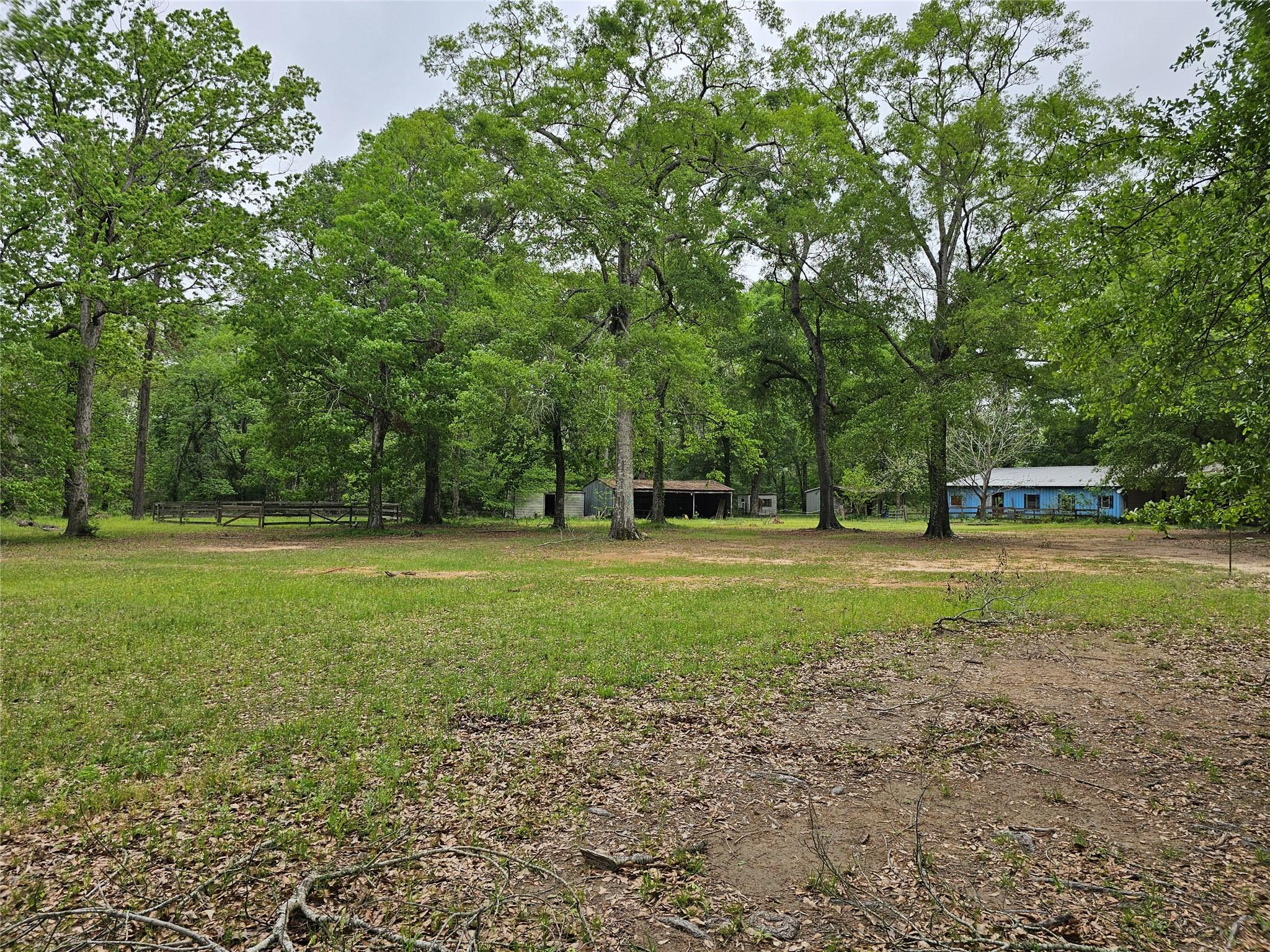 15784 Tree Monkey Rd