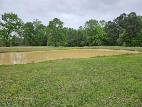 15784 Tree Monkey Rd Conroe TX 77303