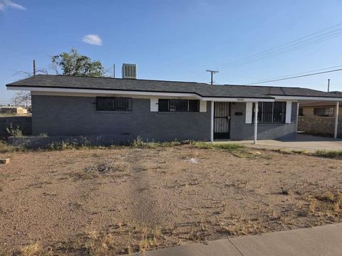 Photo of 9500 Verbena Drive, El Paso, TX 79924 (MLS # 27395820)