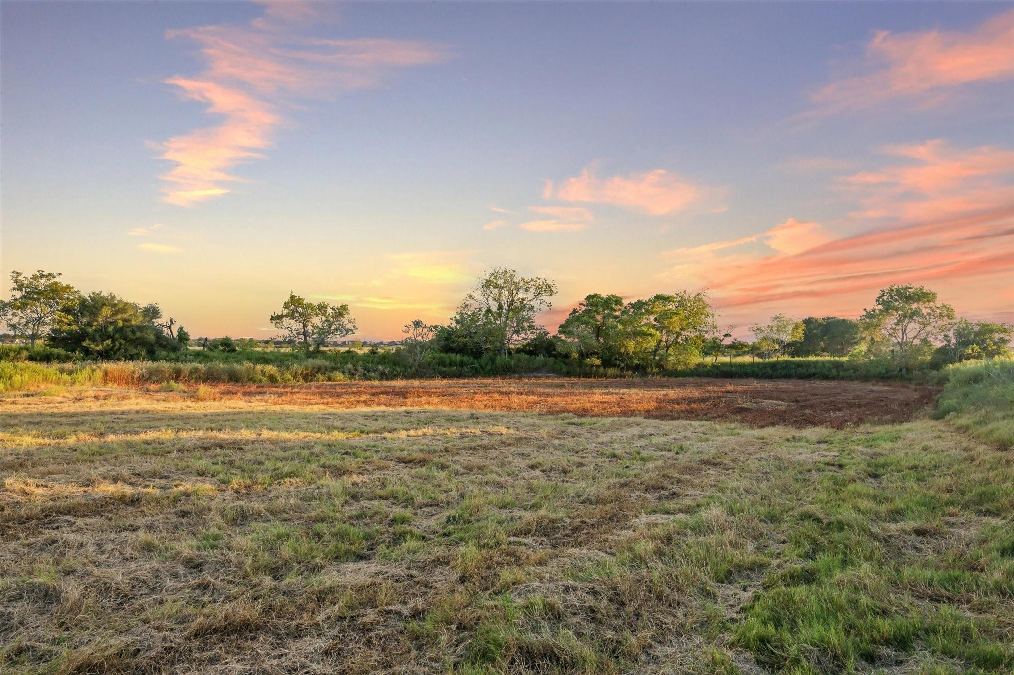 2339 Highway 36 - 14 Acres