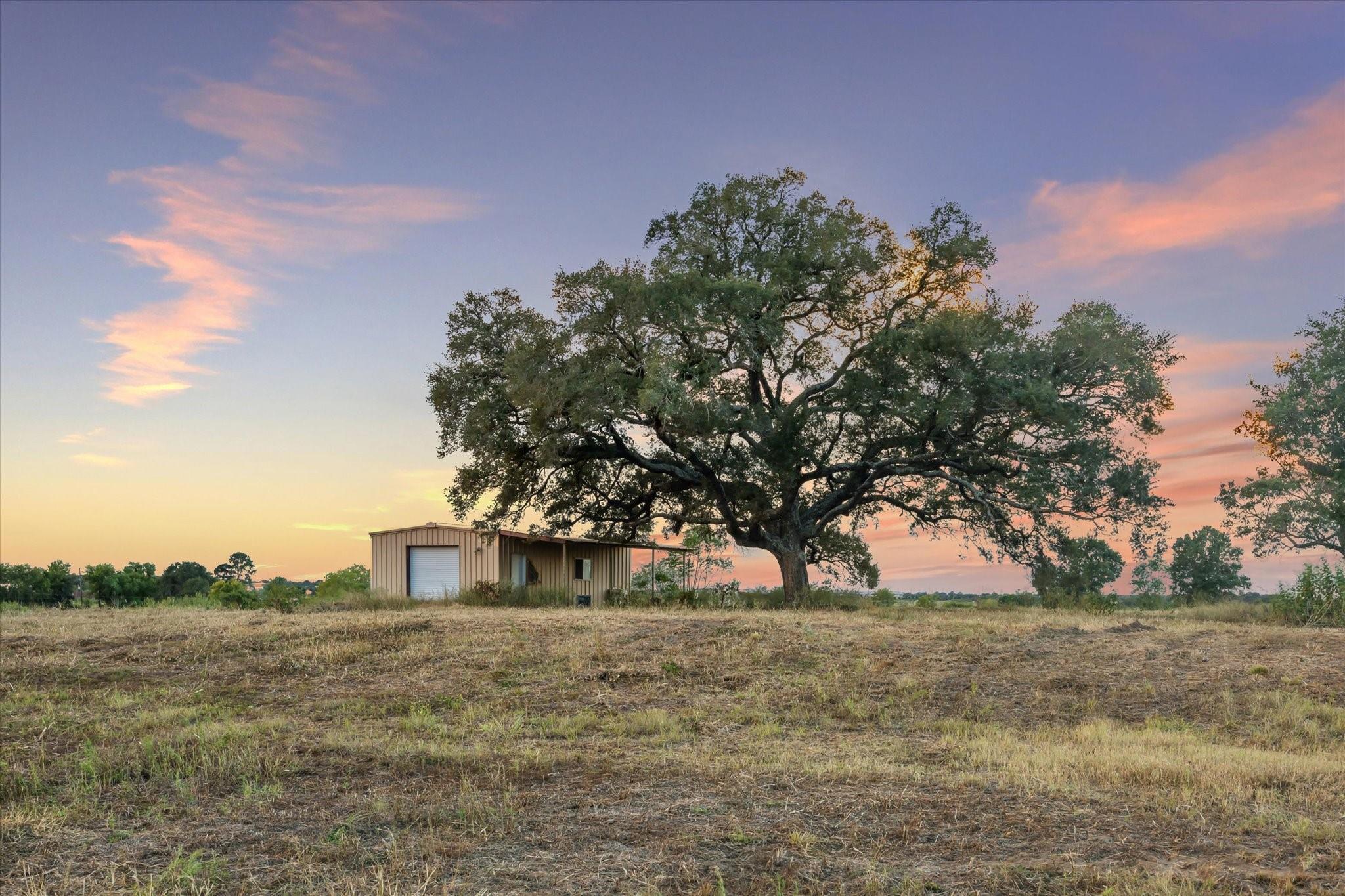 2339 Highway 36 - 14 Acres