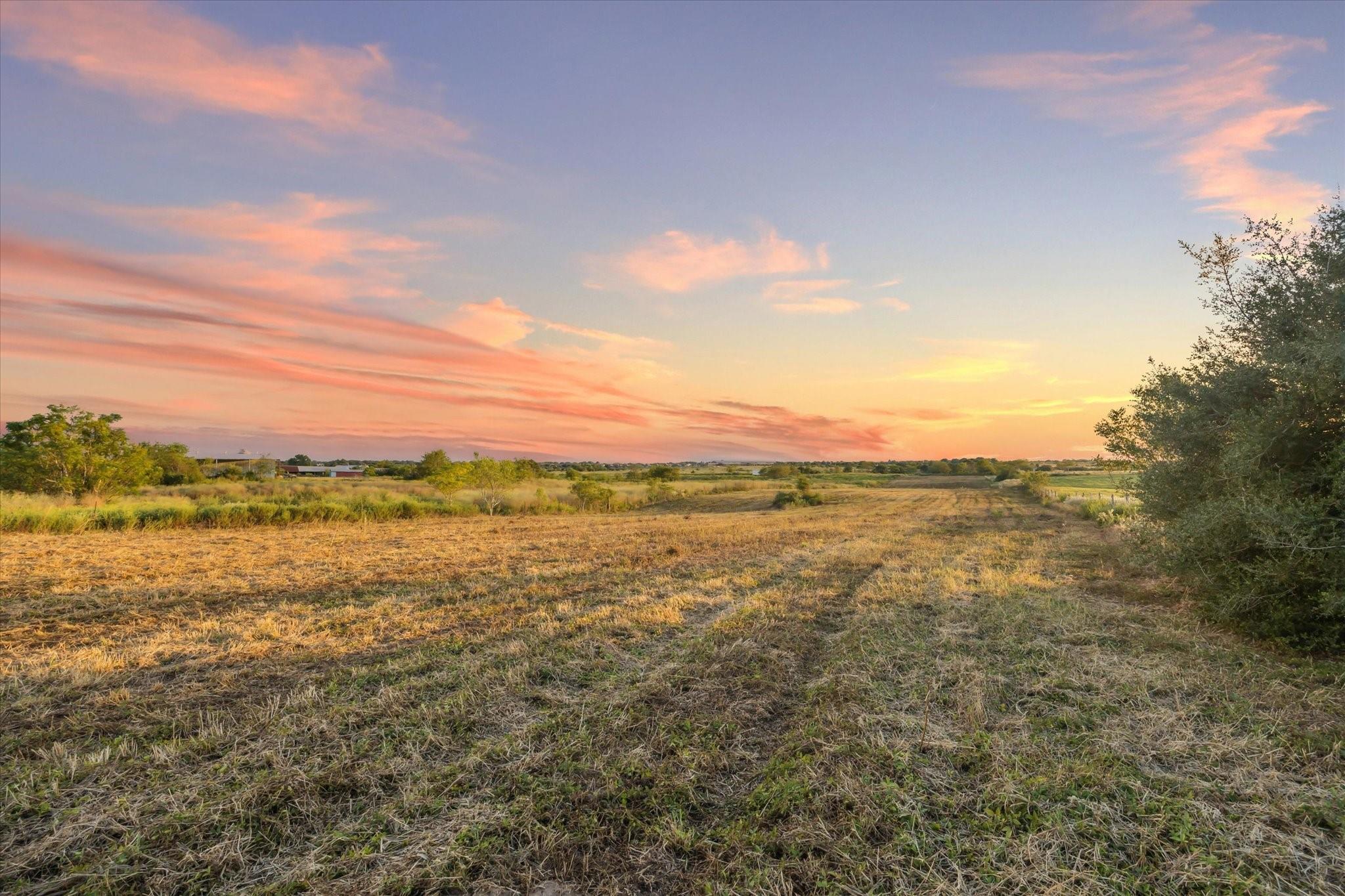 2339 Highway 36 - 14 Acres