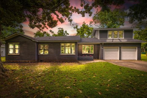 Photo of 411 Southern Oaks Drive, Lake Jackson, TX 77566 (MLS # 61414978)