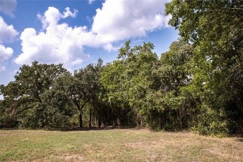Vacant Land For Sale - TRACT TWO - 400 South Railroad Street<br/> Burton, TX 77835