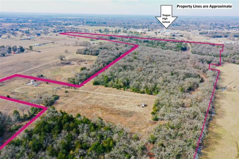 Vacant Land For Sale - TBD Fm 553<br/> Teague, TX 75860