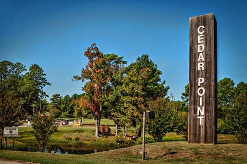 Photo of 745 Dove Island, Livingston, TX 77351 (MLS # 26415960)