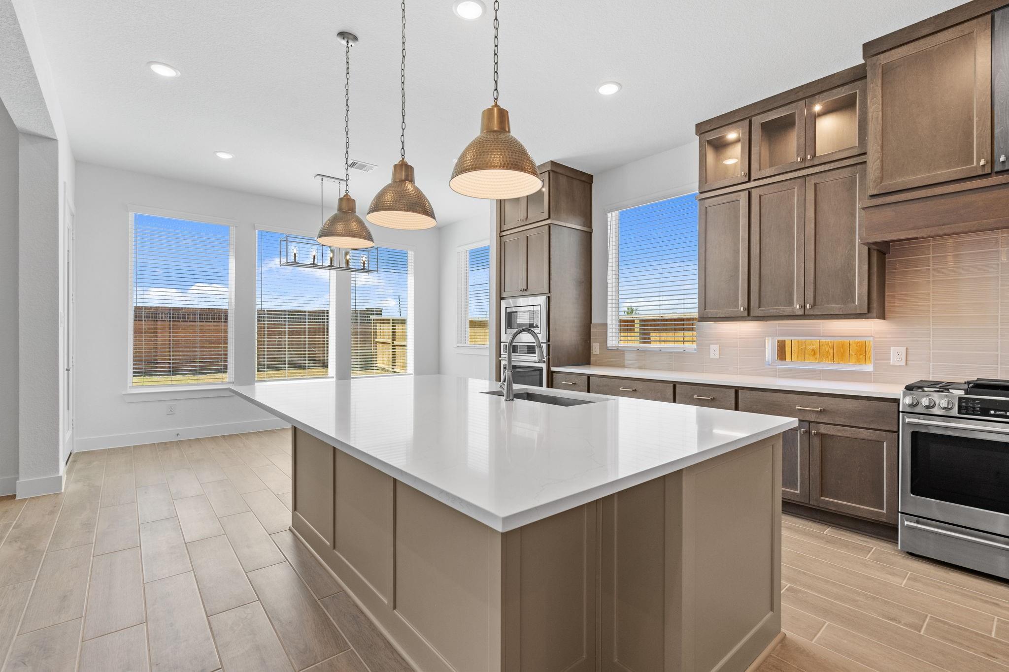 25235 Aster Hills Lane