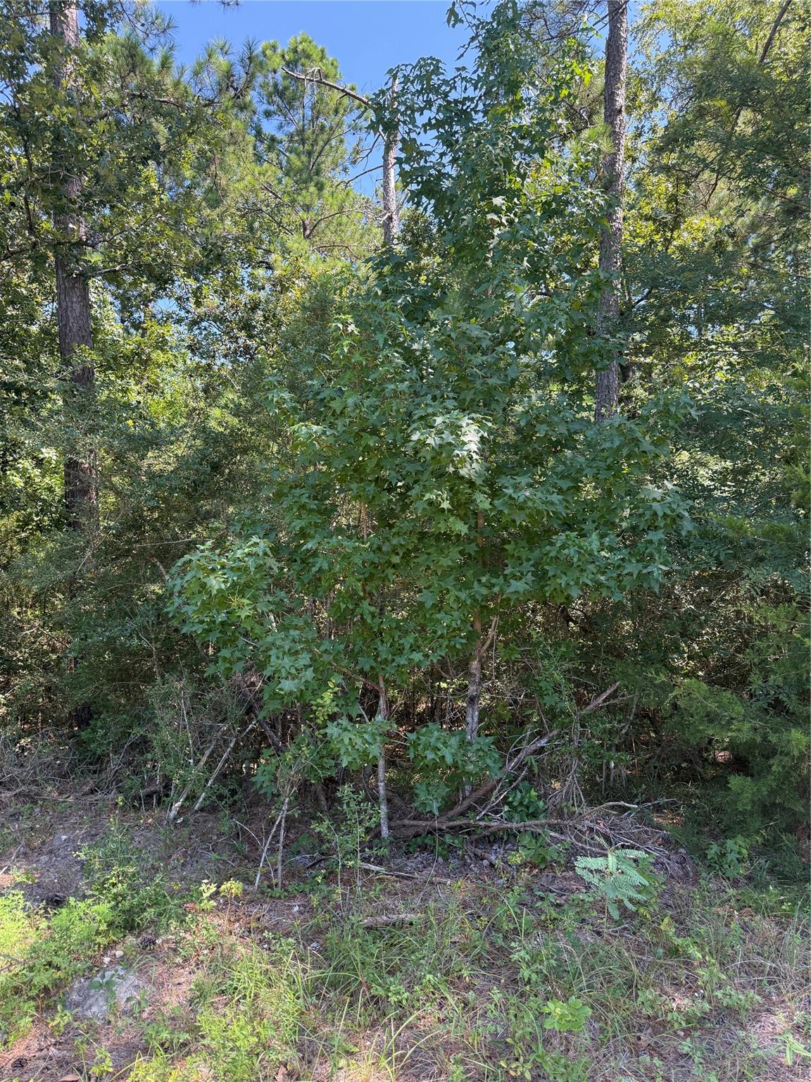 TBD Creeklake Drive