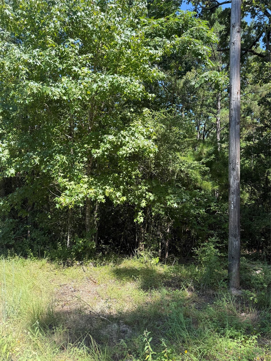 TBD Creeklake Drive