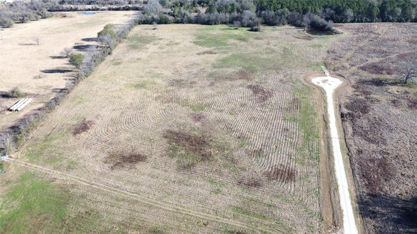 FIELD RD, GROVETON, TX 75845 - Image 5b3c8dfd218ee0b2745ad9d9b5313711/2117712985