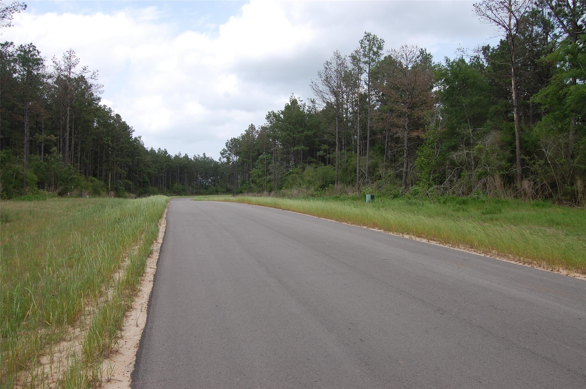 15674 Forest Grove Drive