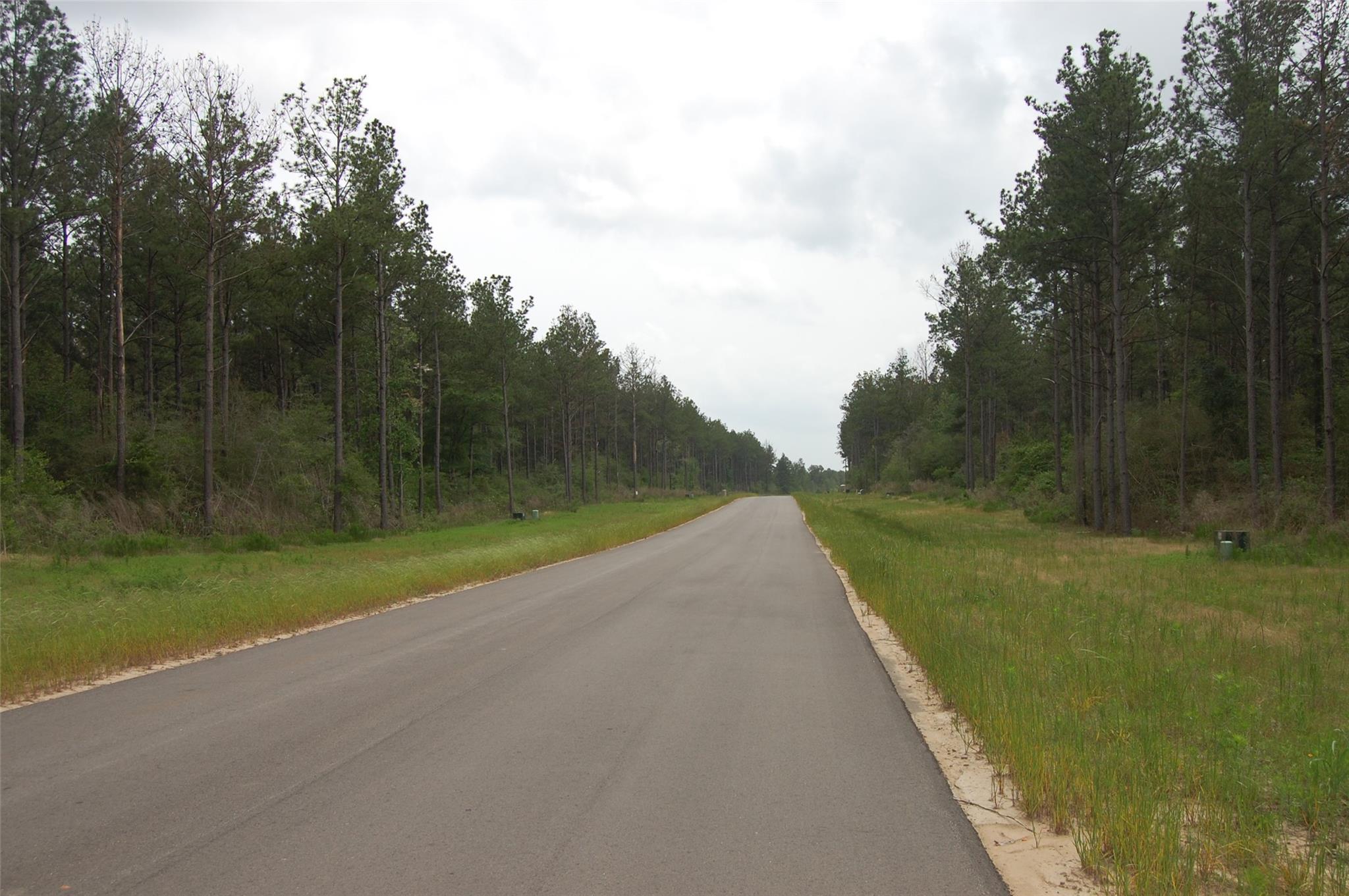 15674 Forest Grove Drive