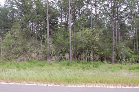 Photo of 15674 Forest Grove Drive, Willis, TX 77378 (MLS # 61504951) Photo of 15674 Forest Grove Drive, Willis, TX 77378 (MLS # 61504951)