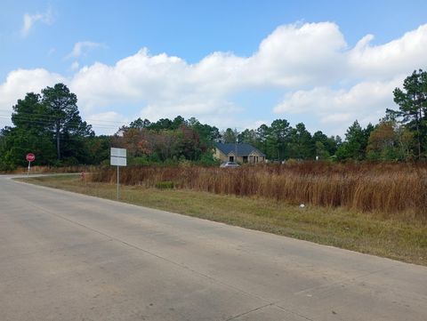 Photo of 1308 County Road 3545, Cleveland, TX 77327 (MLS # 69331491)